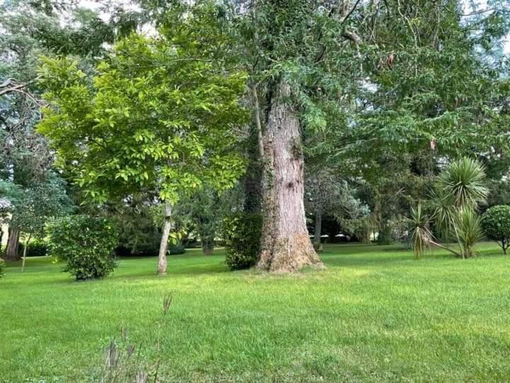 Les Demeures De La Laigne Acomodação com café da manhã Allas-Bocage Exterior foto