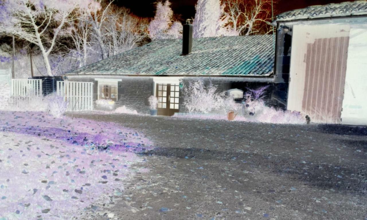 Les Demeures De La Laigne Acomodação com café da manhã Allas-Bocage Exterior foto